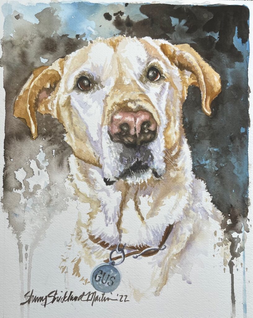 Commissioned: "Gus" watercolor 11'X 14"