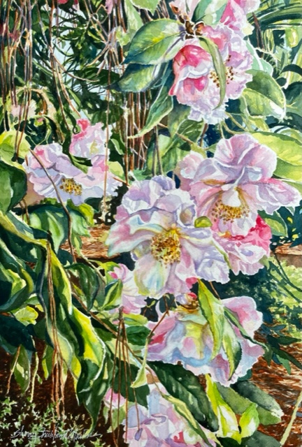 "Morning Camellias" watercolor: SOLD